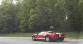 IMG_3893.jpeg