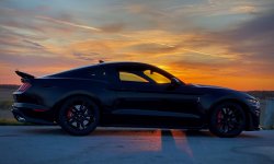 Shelby GT500.jpg