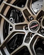 DSC00045-Edit.webp DSC00045-Edit.webp